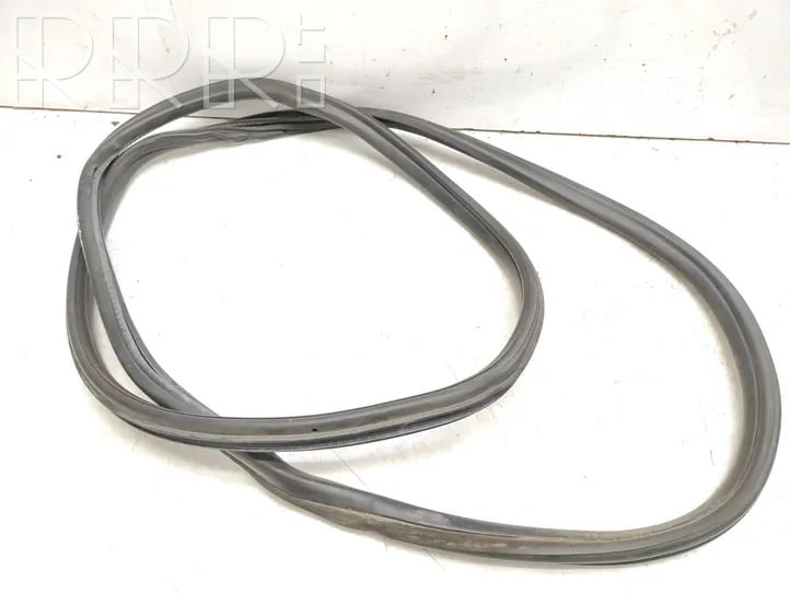 BMW X3 E83 Rear Right Door Rubber Seal